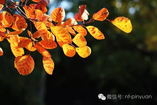 【大事記】輝煌八周年-第三季度員工表彰大會(huì )！